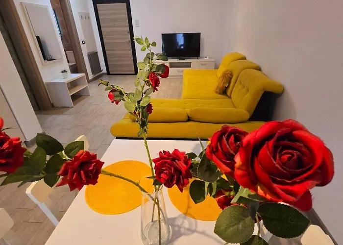 Large Family - Mamaia Nord And Pool Năvodari